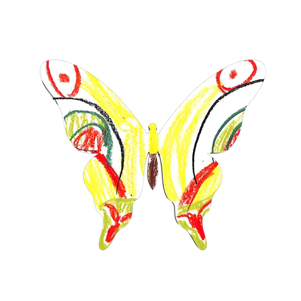 Original Butterfly Image