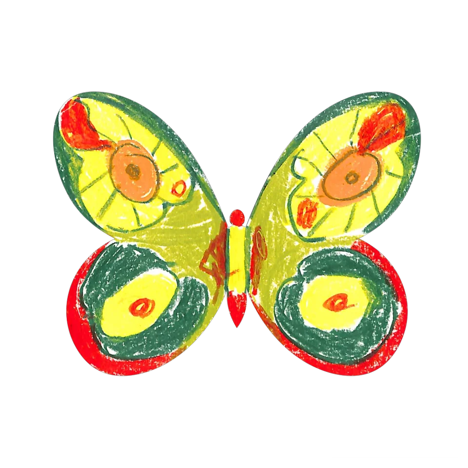 Original Butterfly Image