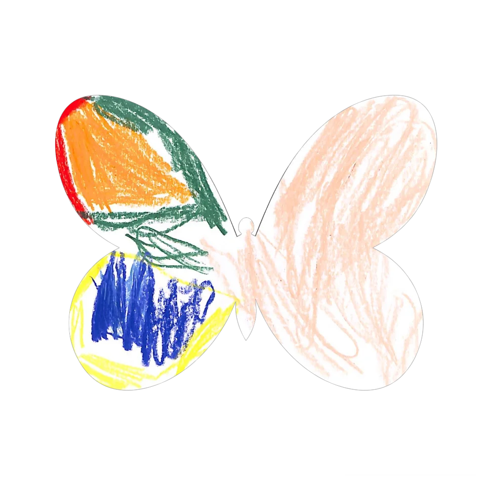 Original Butterfly Image