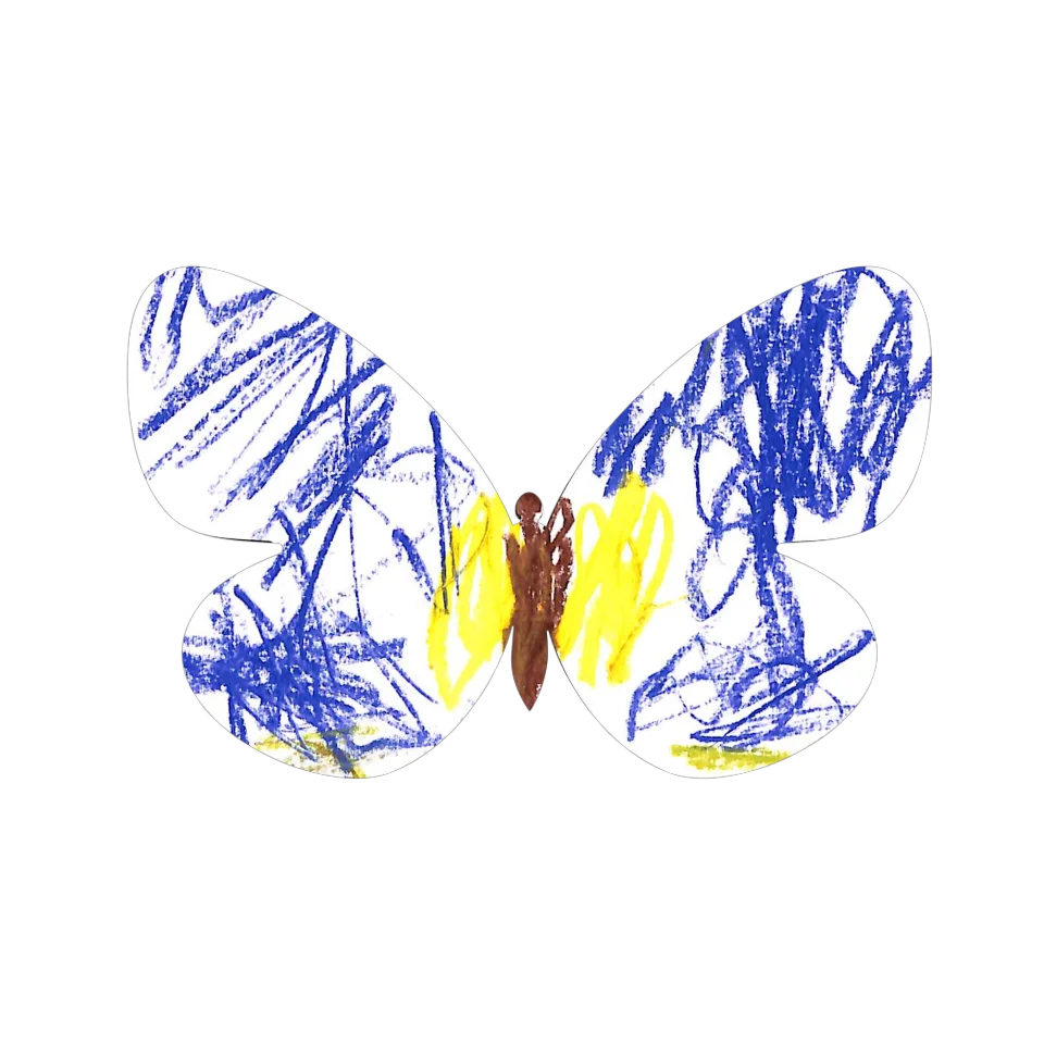 Original Butterfly Image