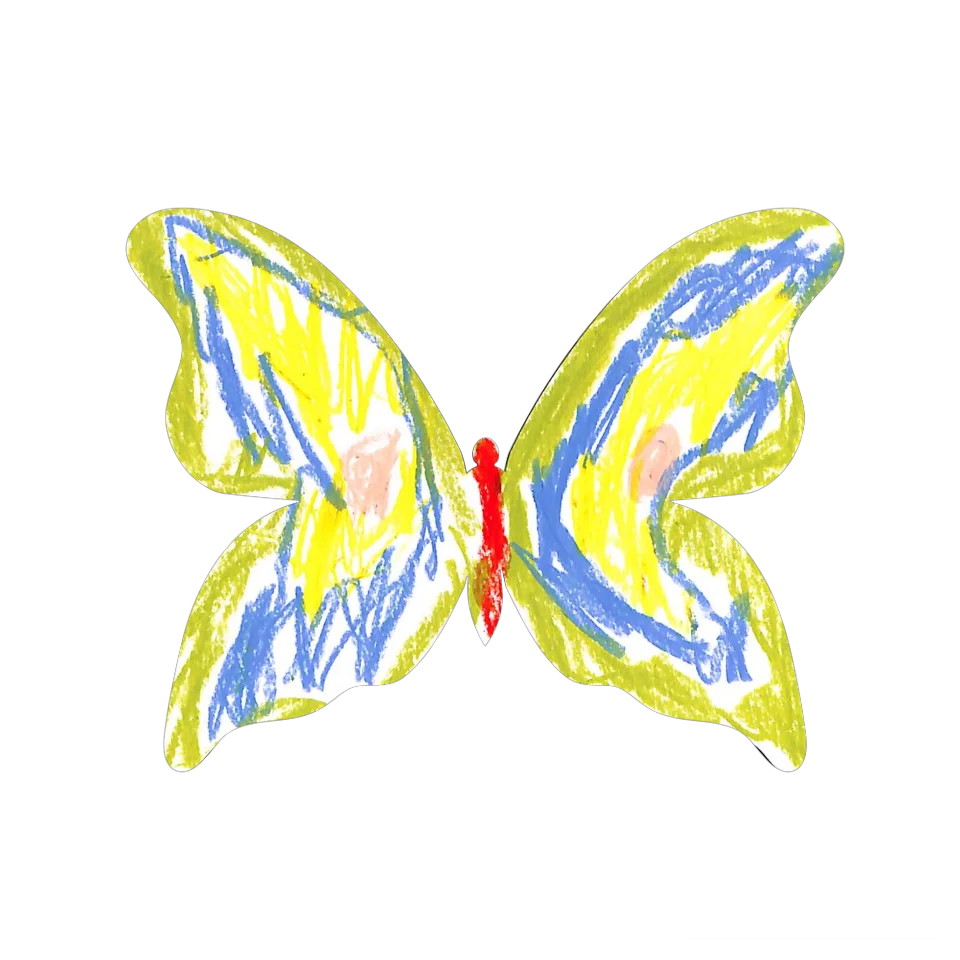 Original Butterfly Image