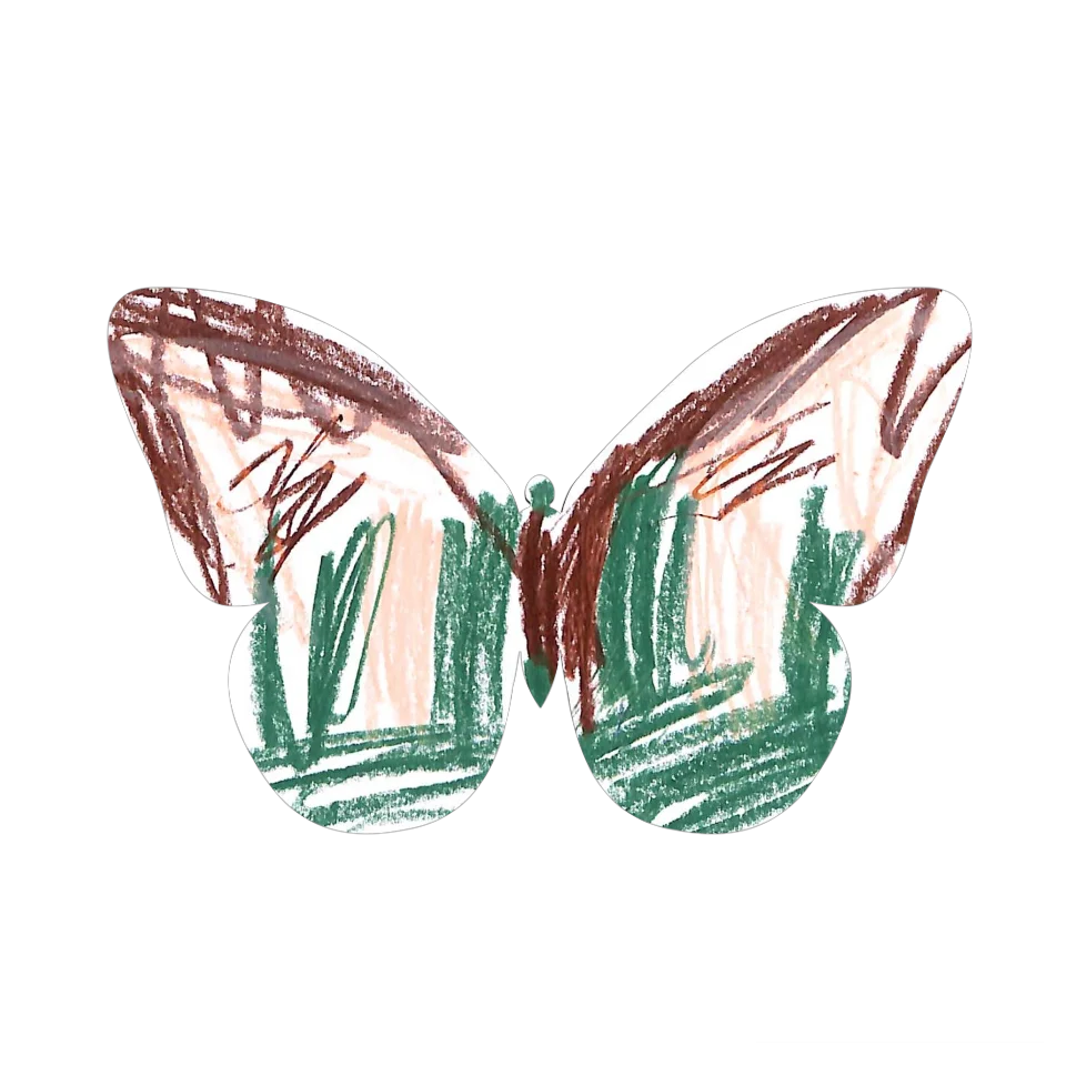 Original Butterfly Image