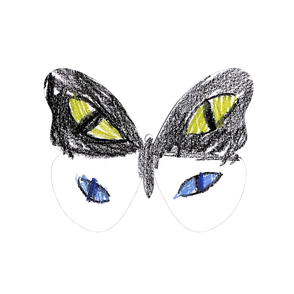 Original Butterfly Image