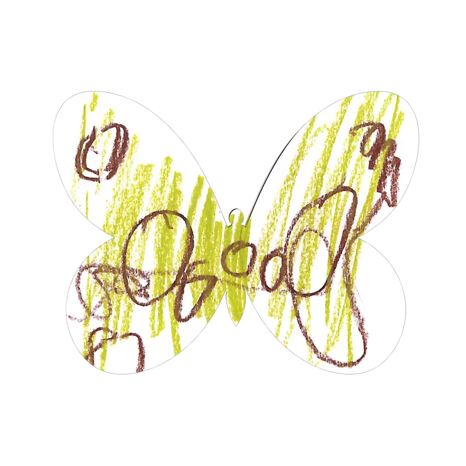 Original Butterfly Image