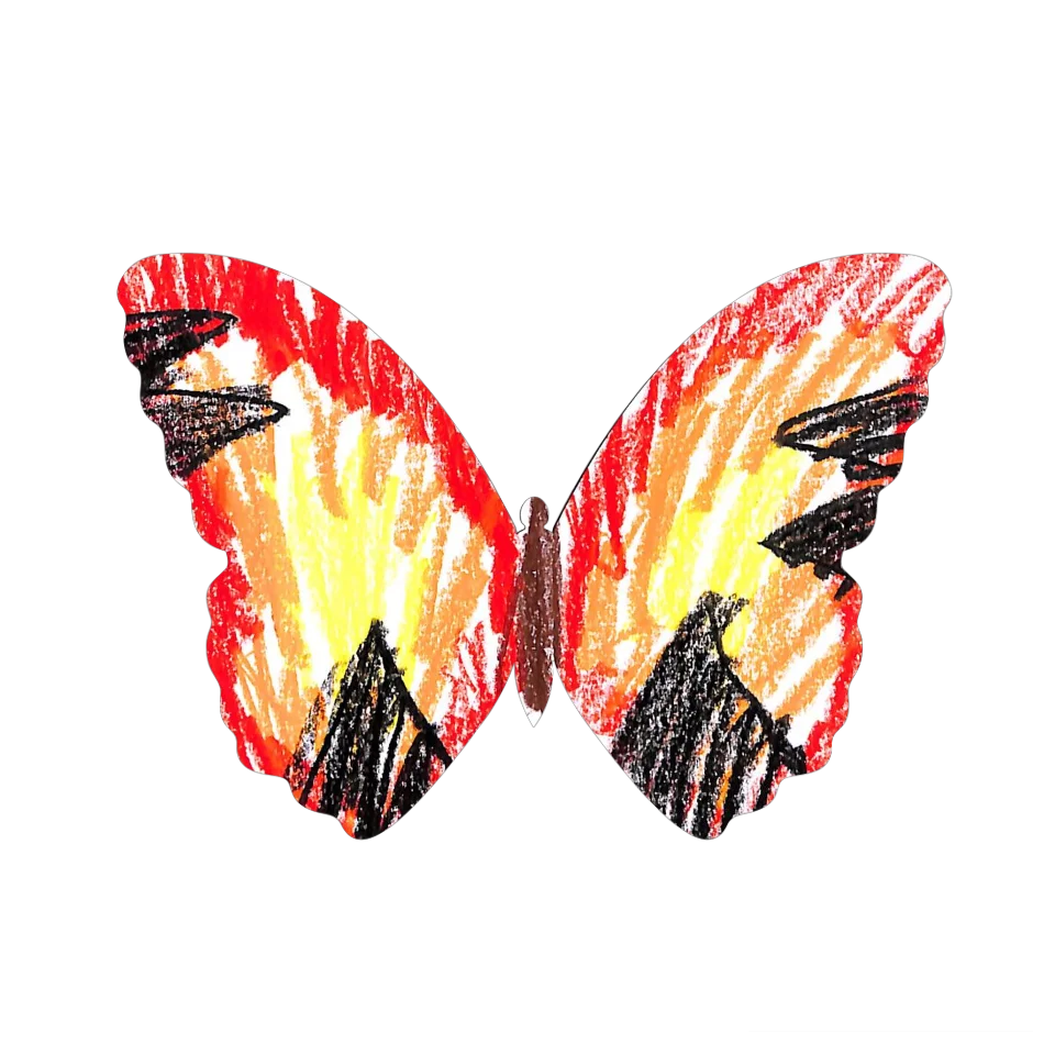 Original Butterfly Image