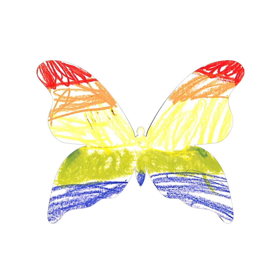 Original Butterfly Image
