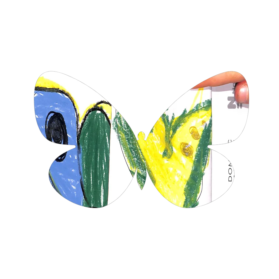 Original Butterfly Image