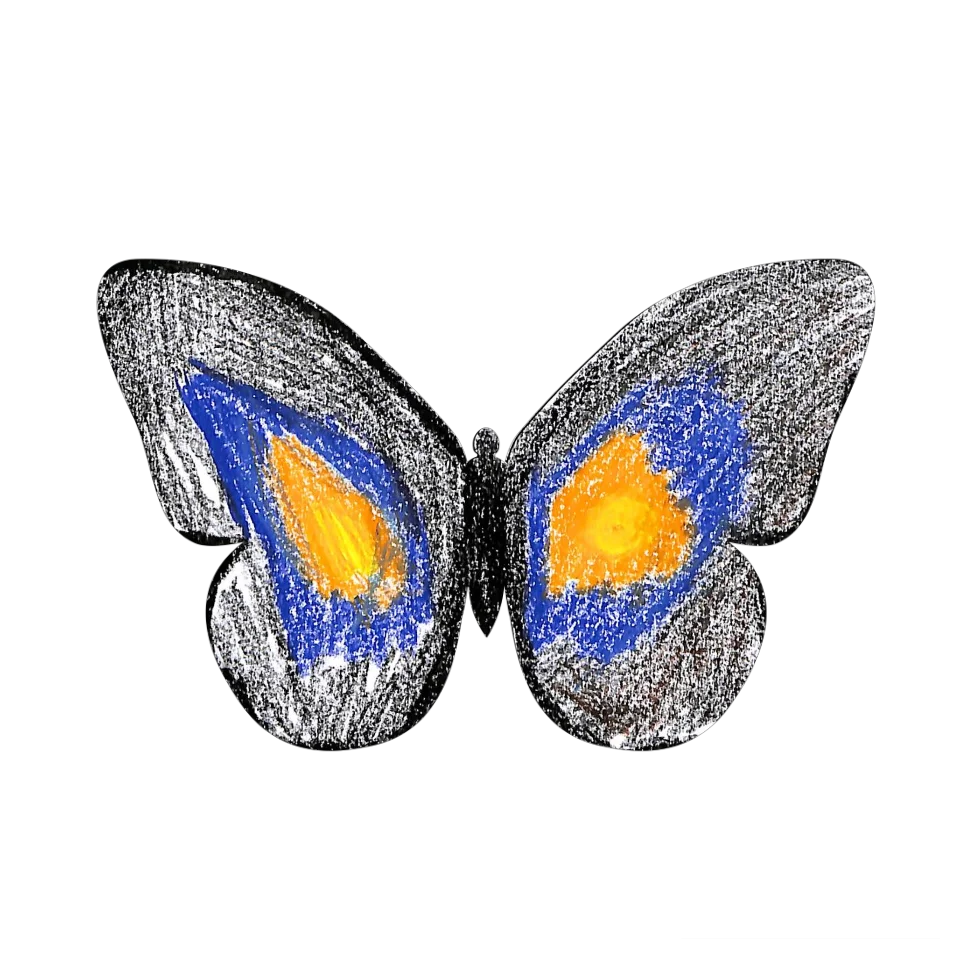 Original Butterfly Image
