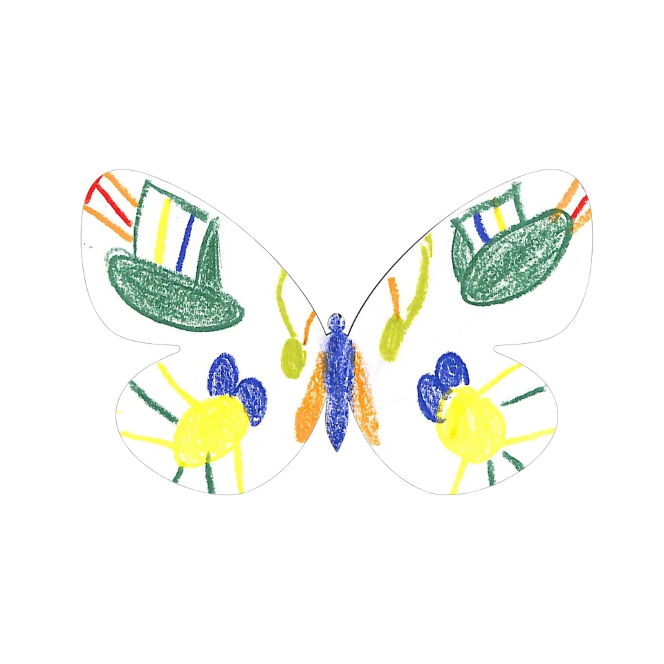 Original Butterfly Image