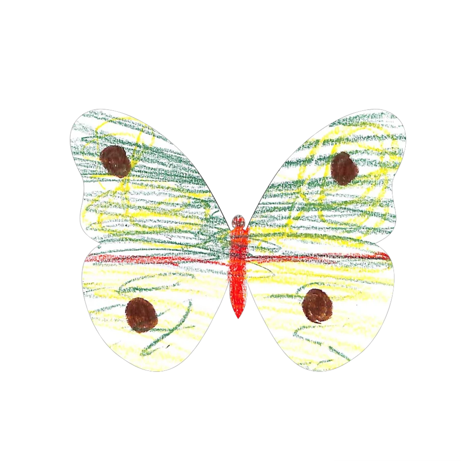 Original Butterfly Image
