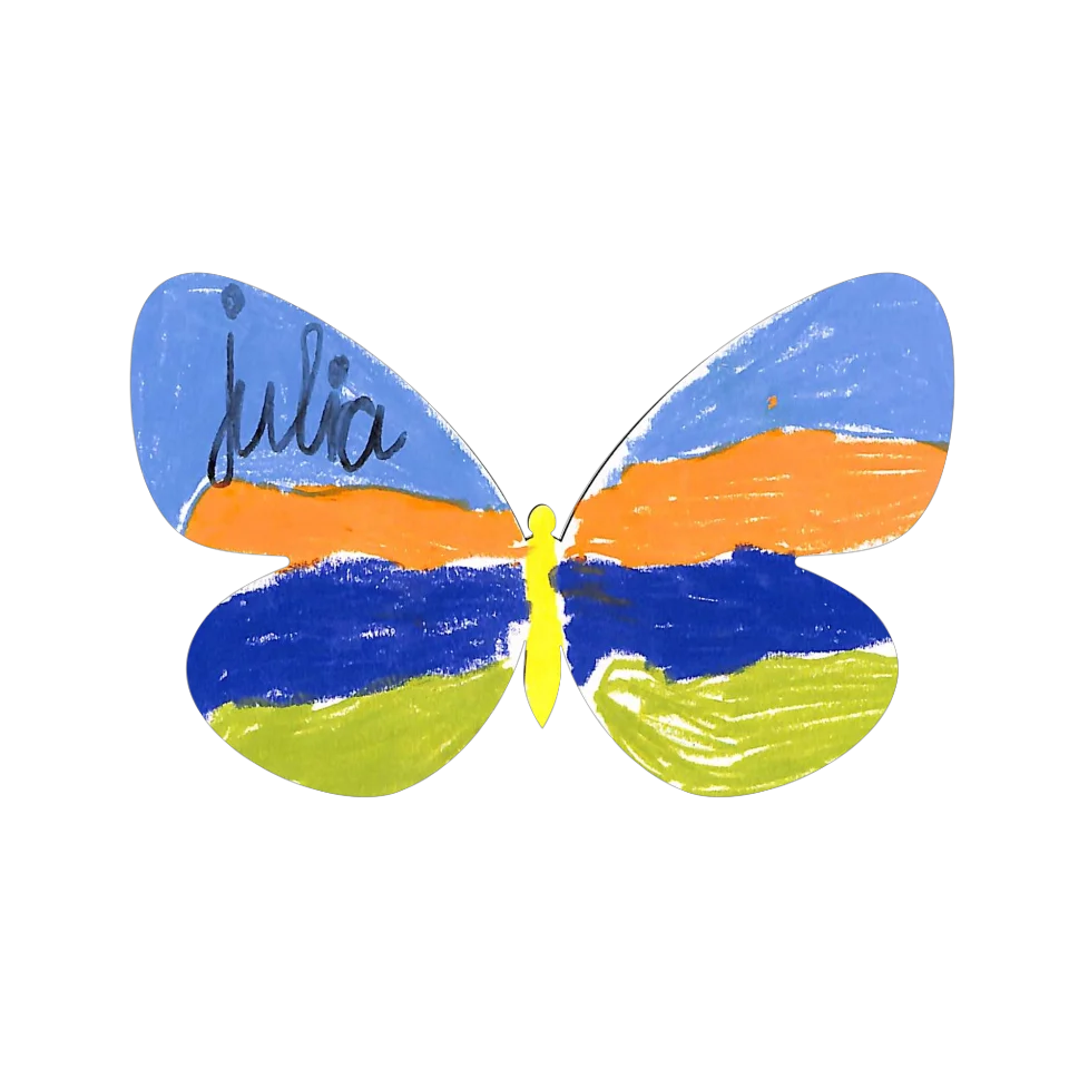 Original Butterfly Image