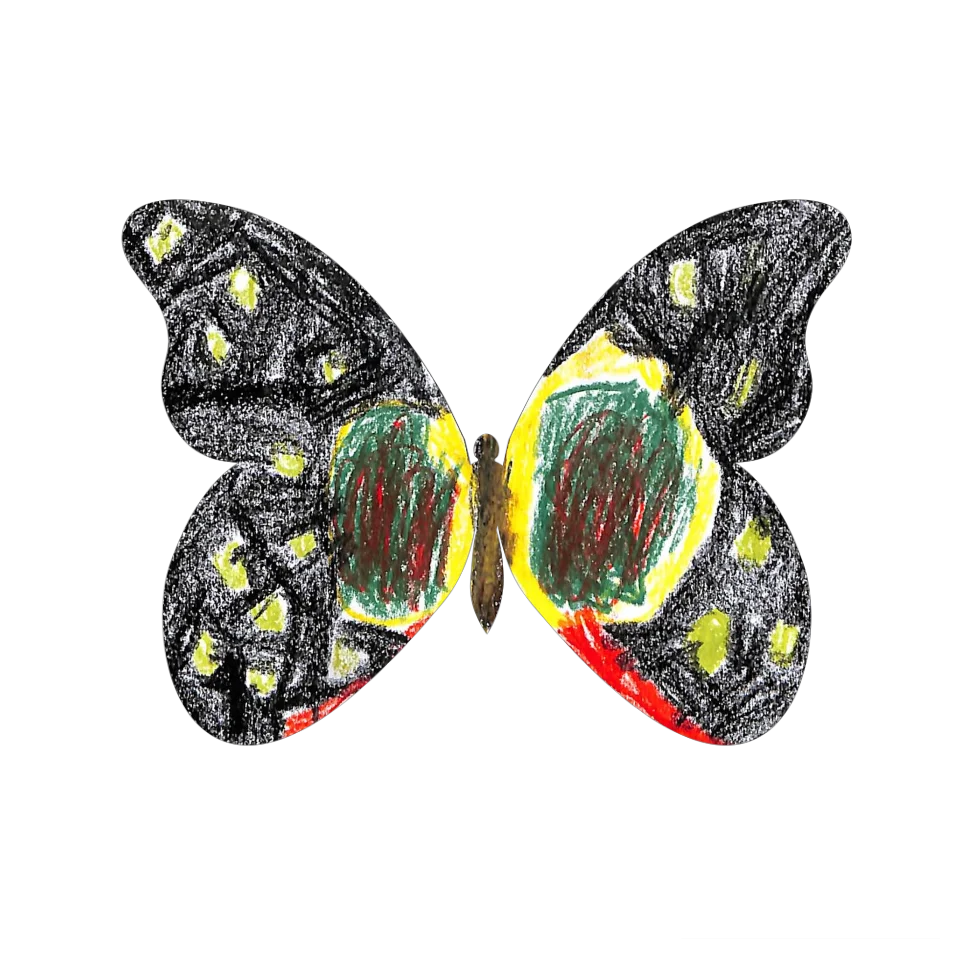 Original Butterfly Image