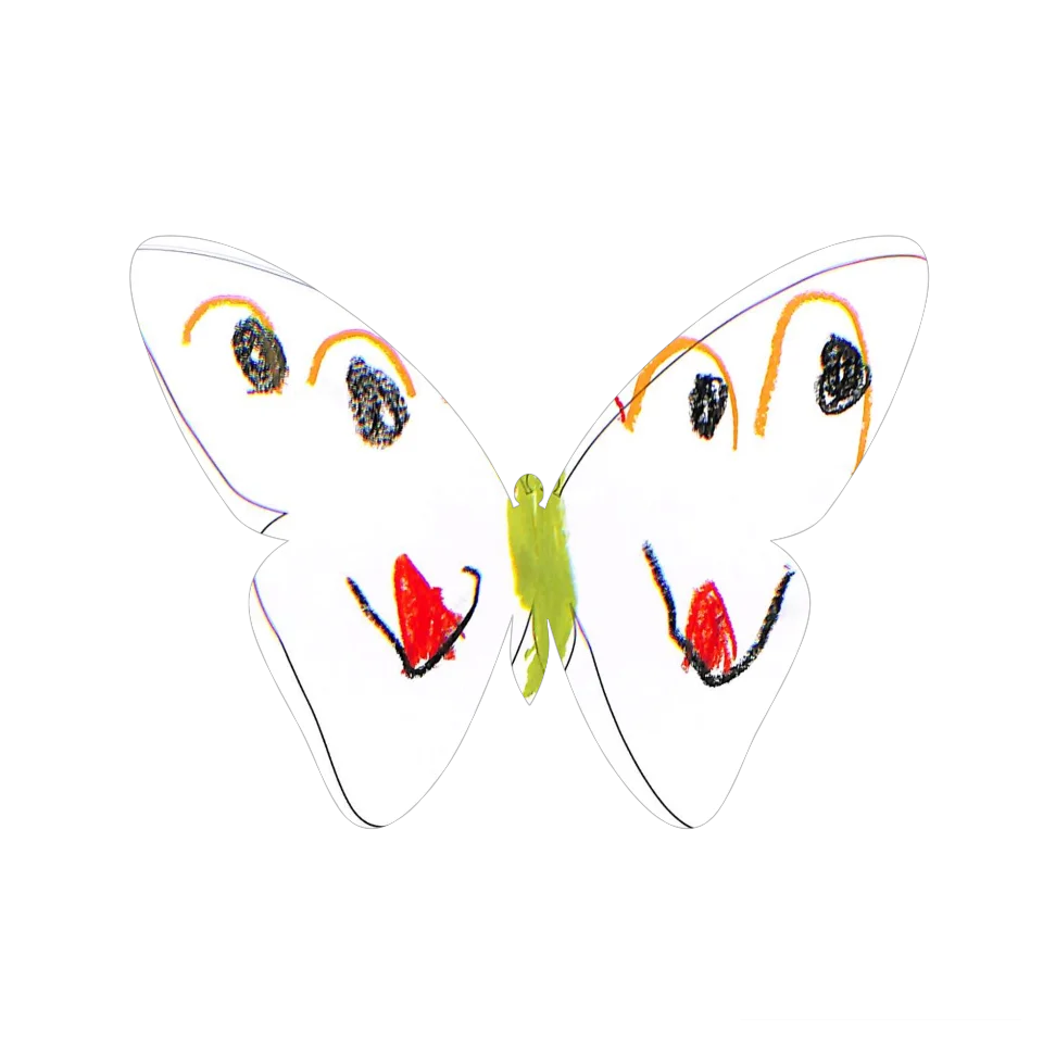 Original Butterfly Image