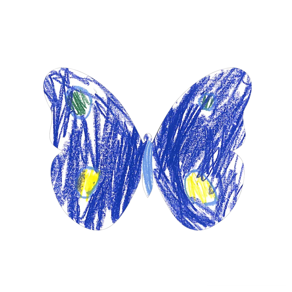 Original Butterfly Image