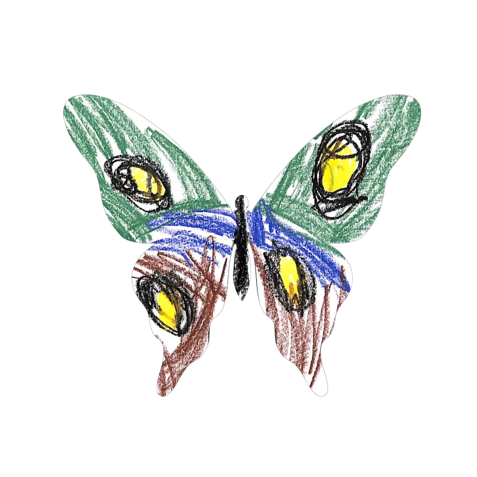 Original Butterfly Image