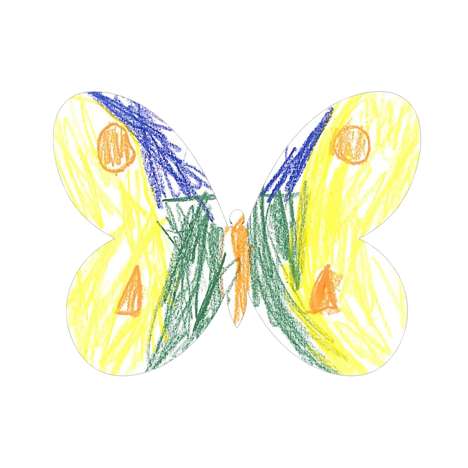 Original Butterfly Image