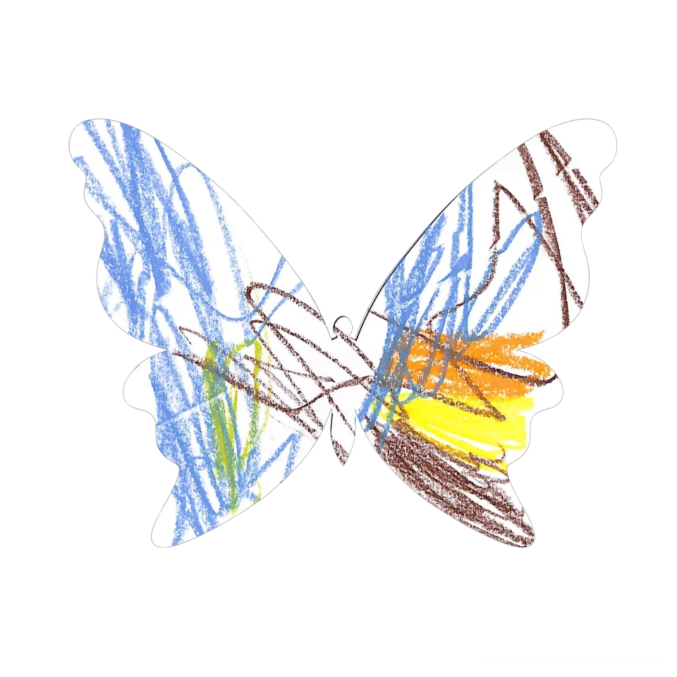Original Butterfly Image