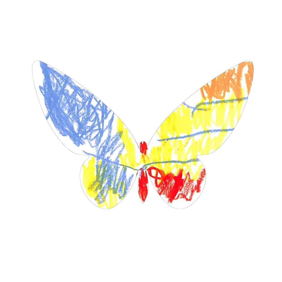 Original Butterfly Image