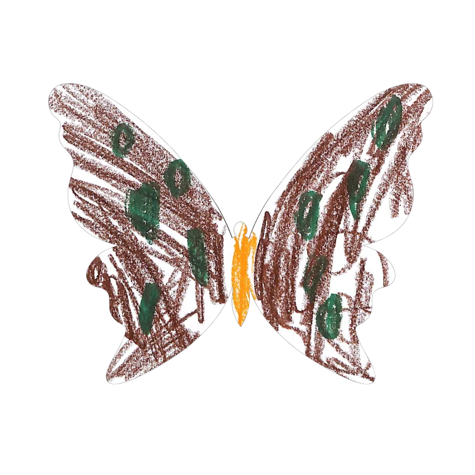 Original Butterfly Image