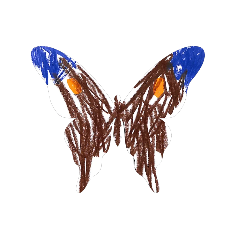 Original Butterfly Image