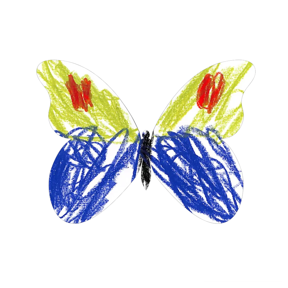 Original Butterfly Image