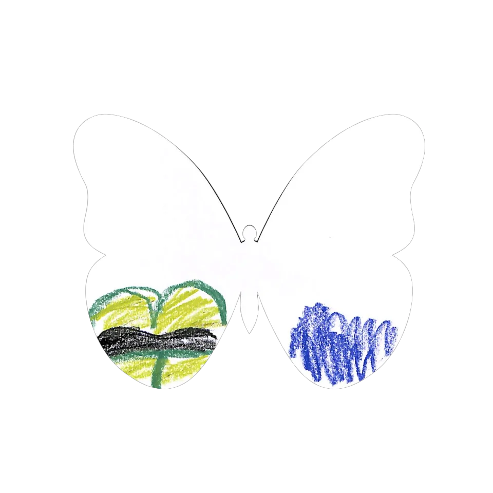 Original Butterfly Image