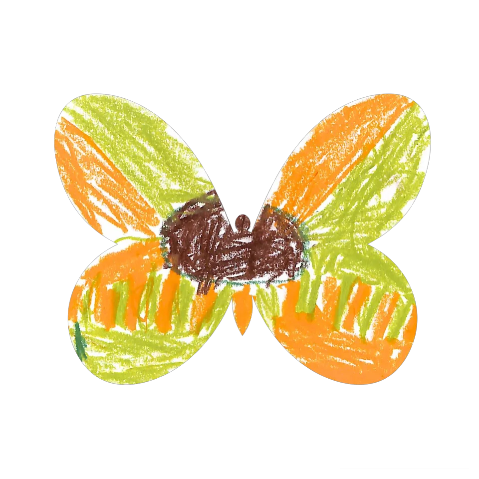 Original Butterfly Image