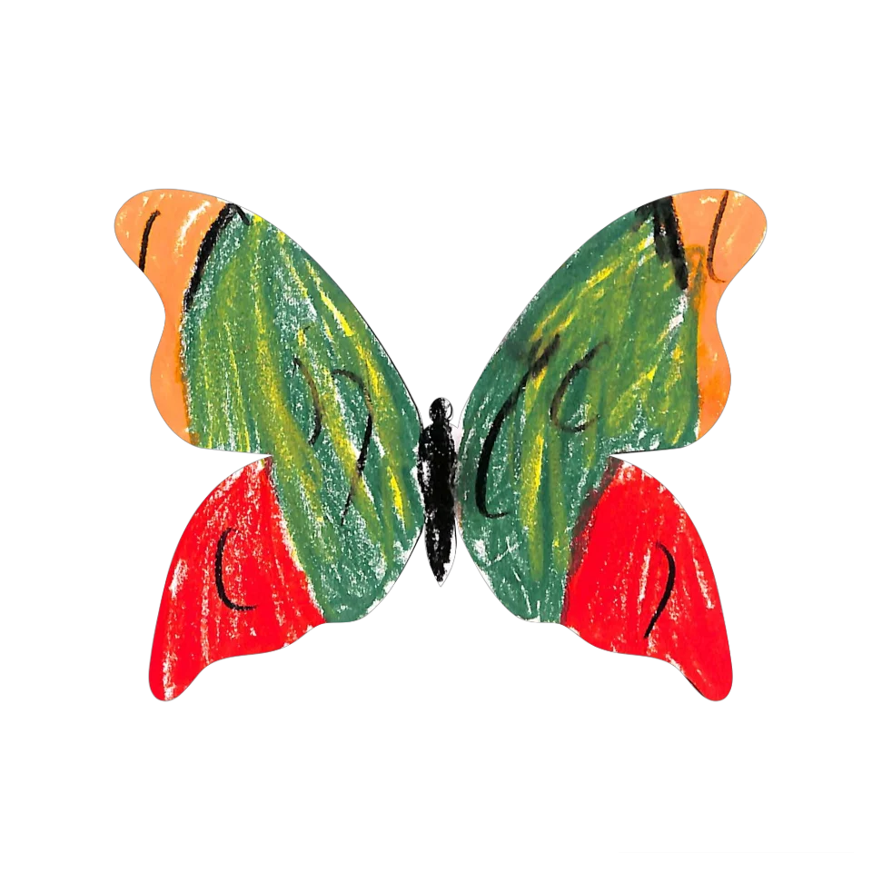Original Butterfly Image