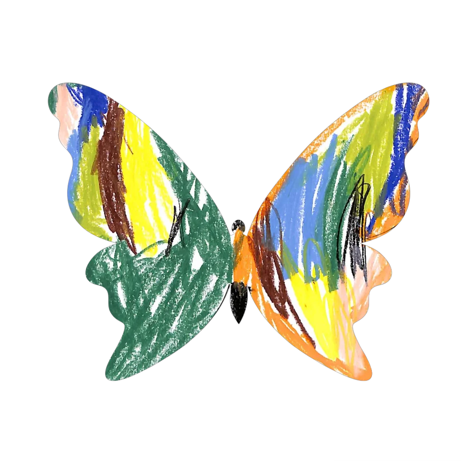 Original Butterfly Image