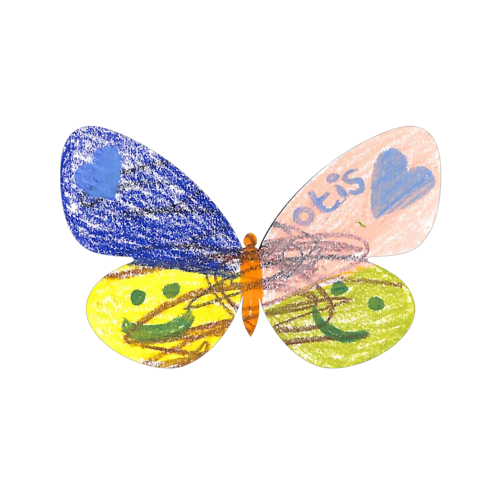 Original Butterfly Image