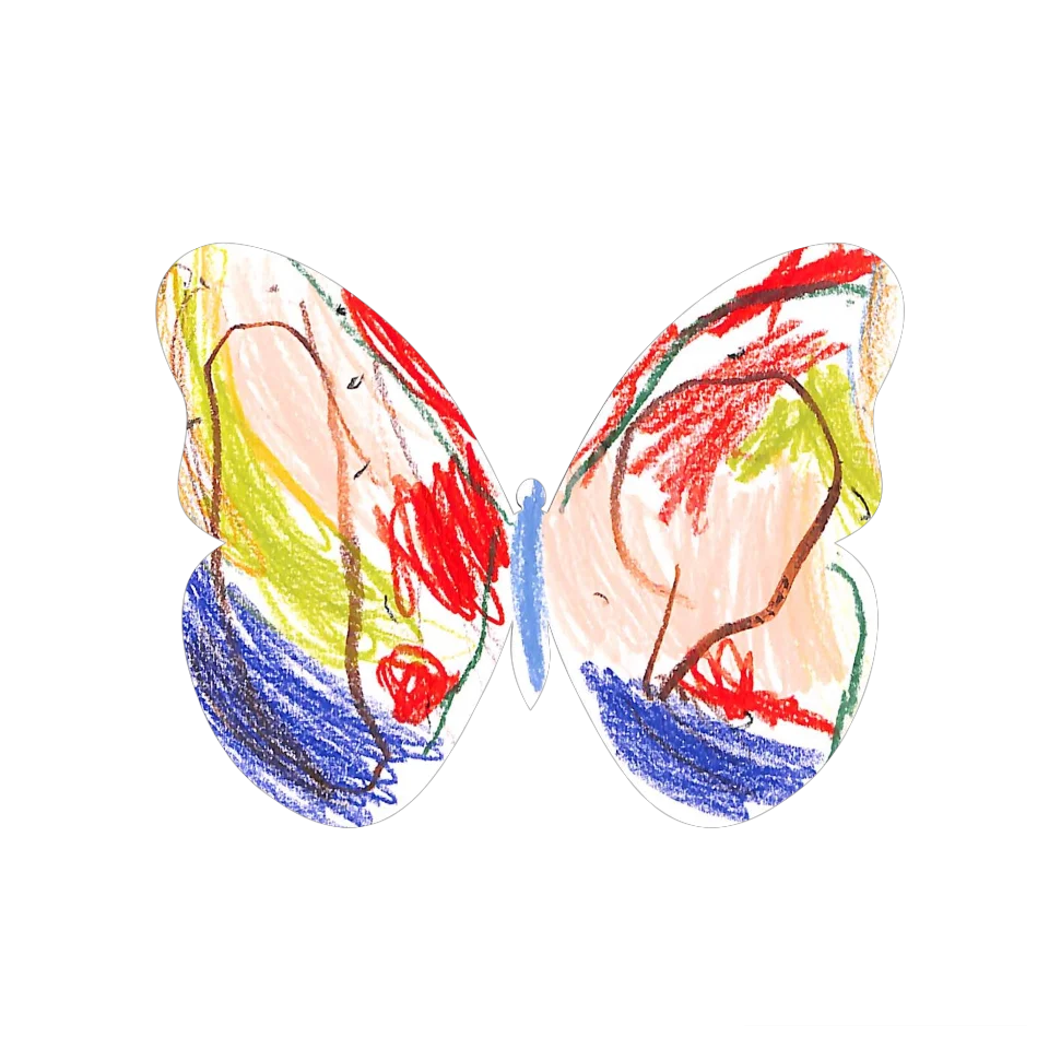 Original Butterfly Image