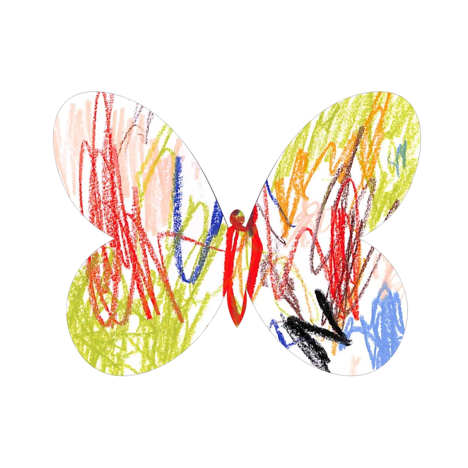 Original Butterfly Image