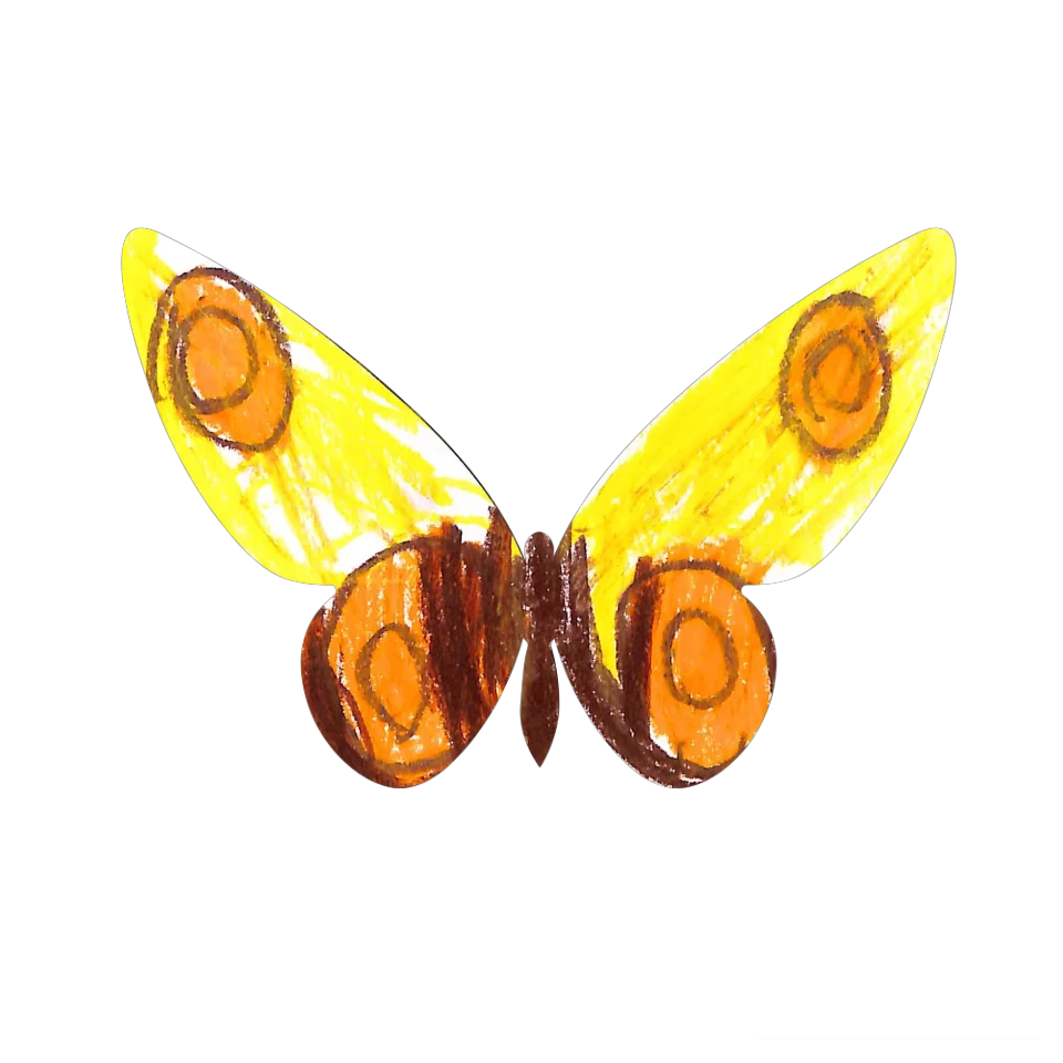 Original Butterfly Image