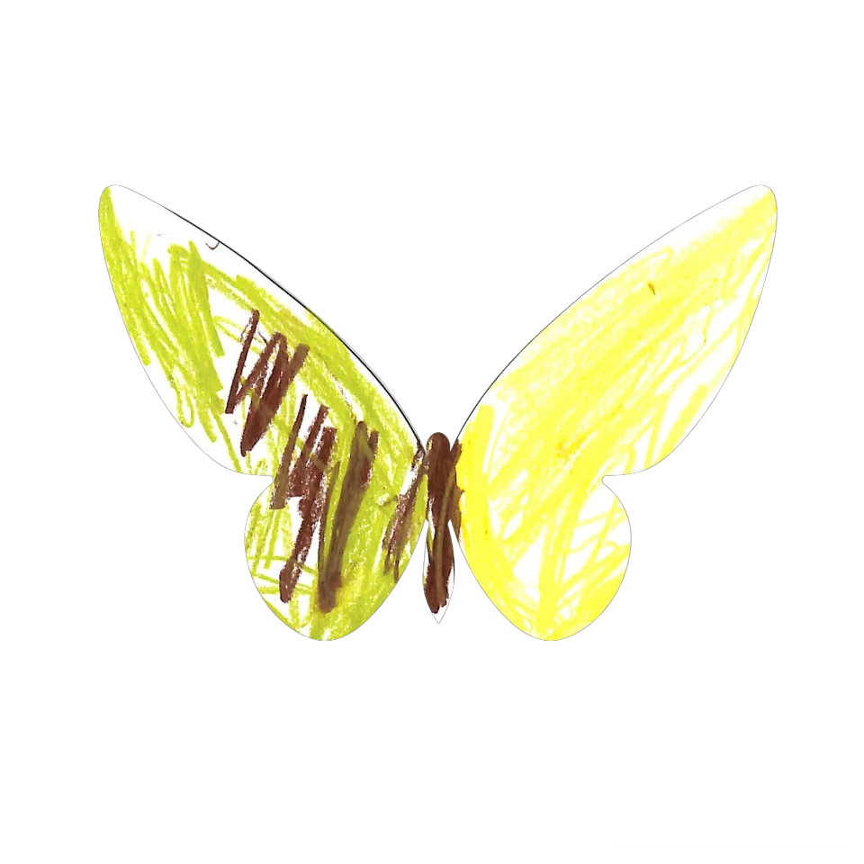 Original Butterfly Image