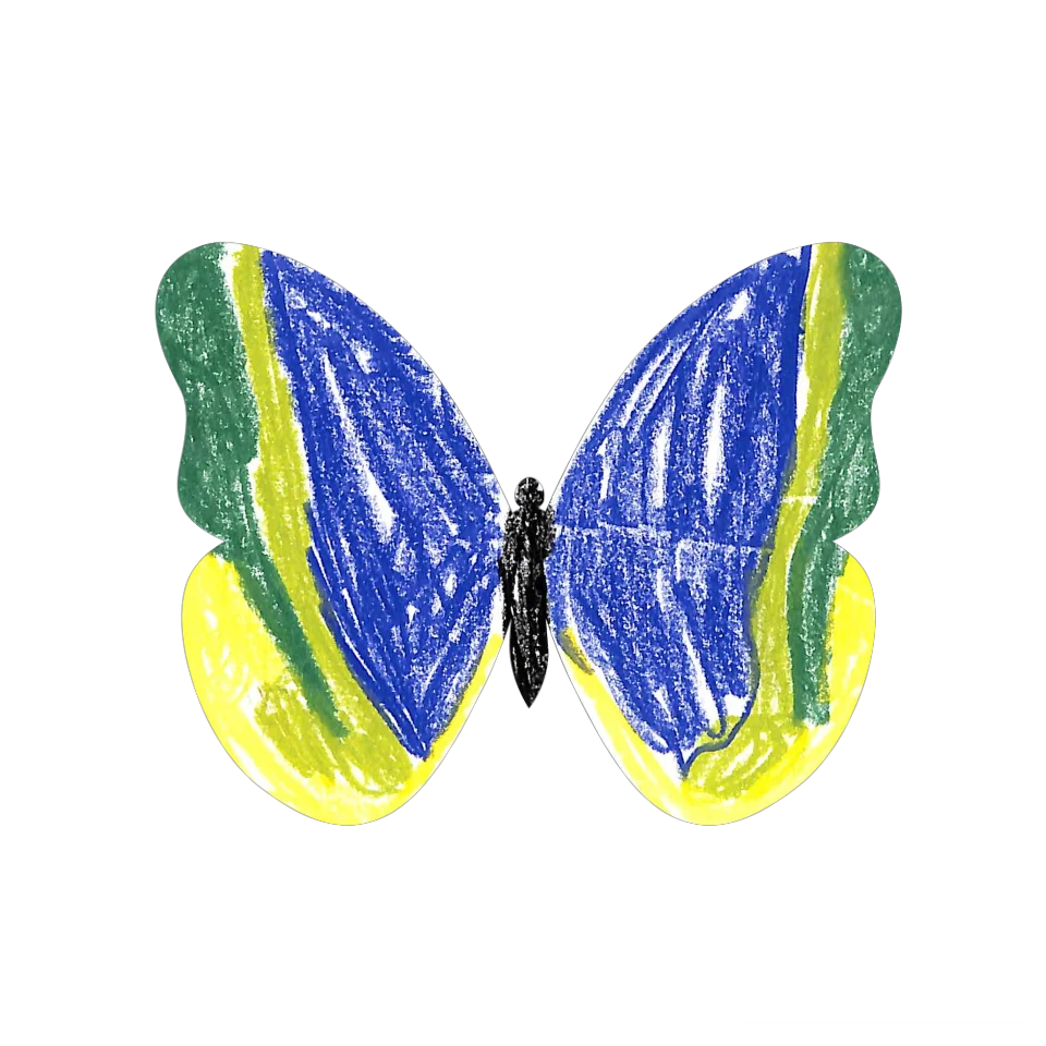 Original Butterfly Image