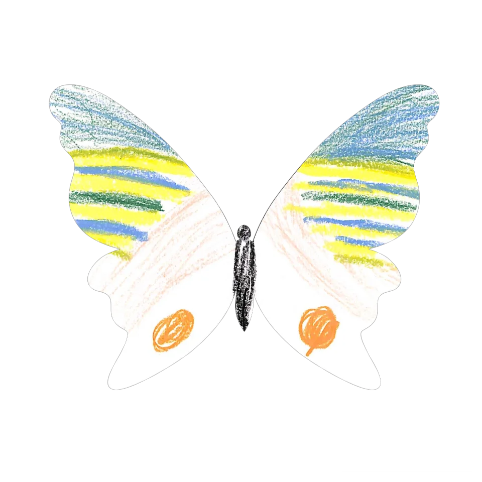 Original Butterfly Image