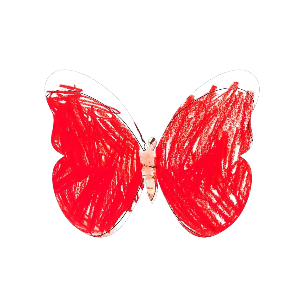 Original Butterfly Image