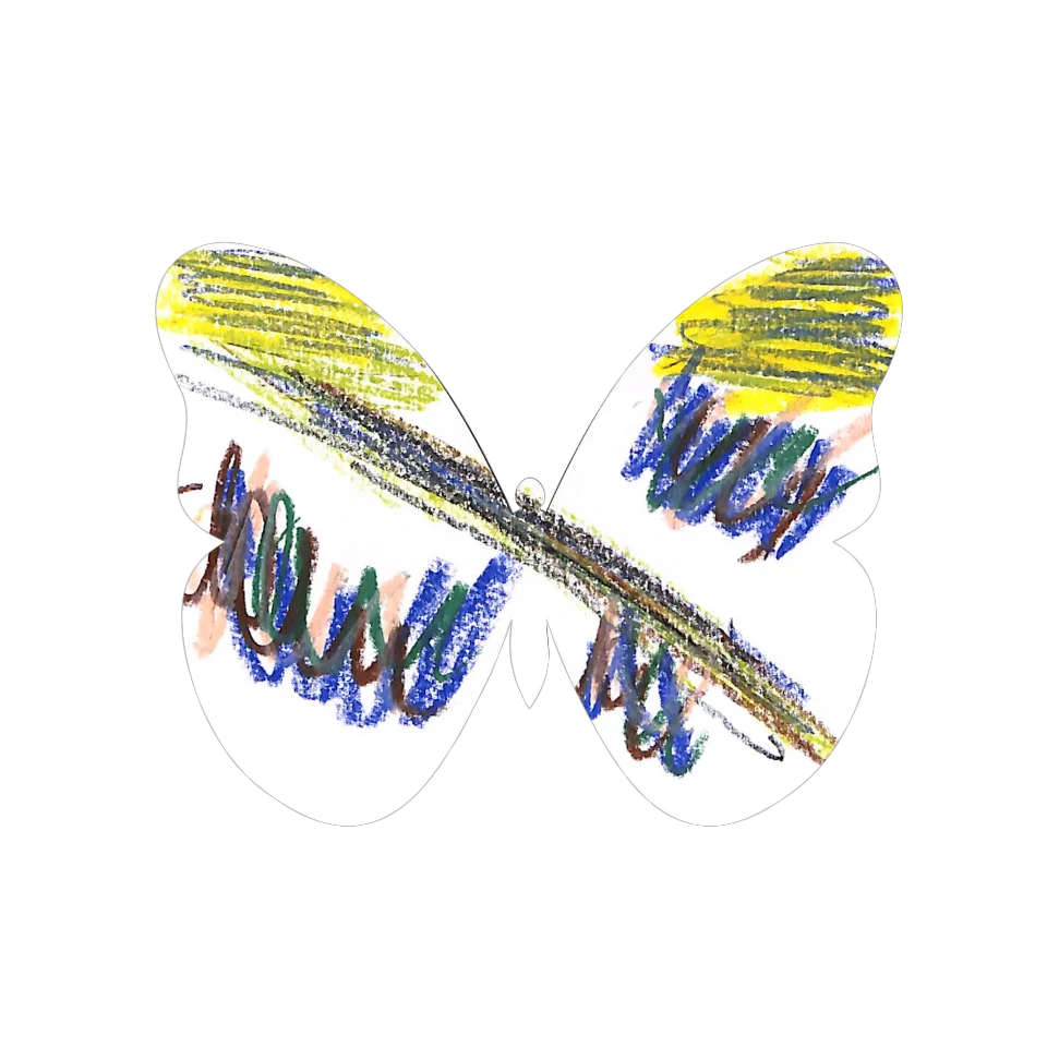 Original Butterfly Image