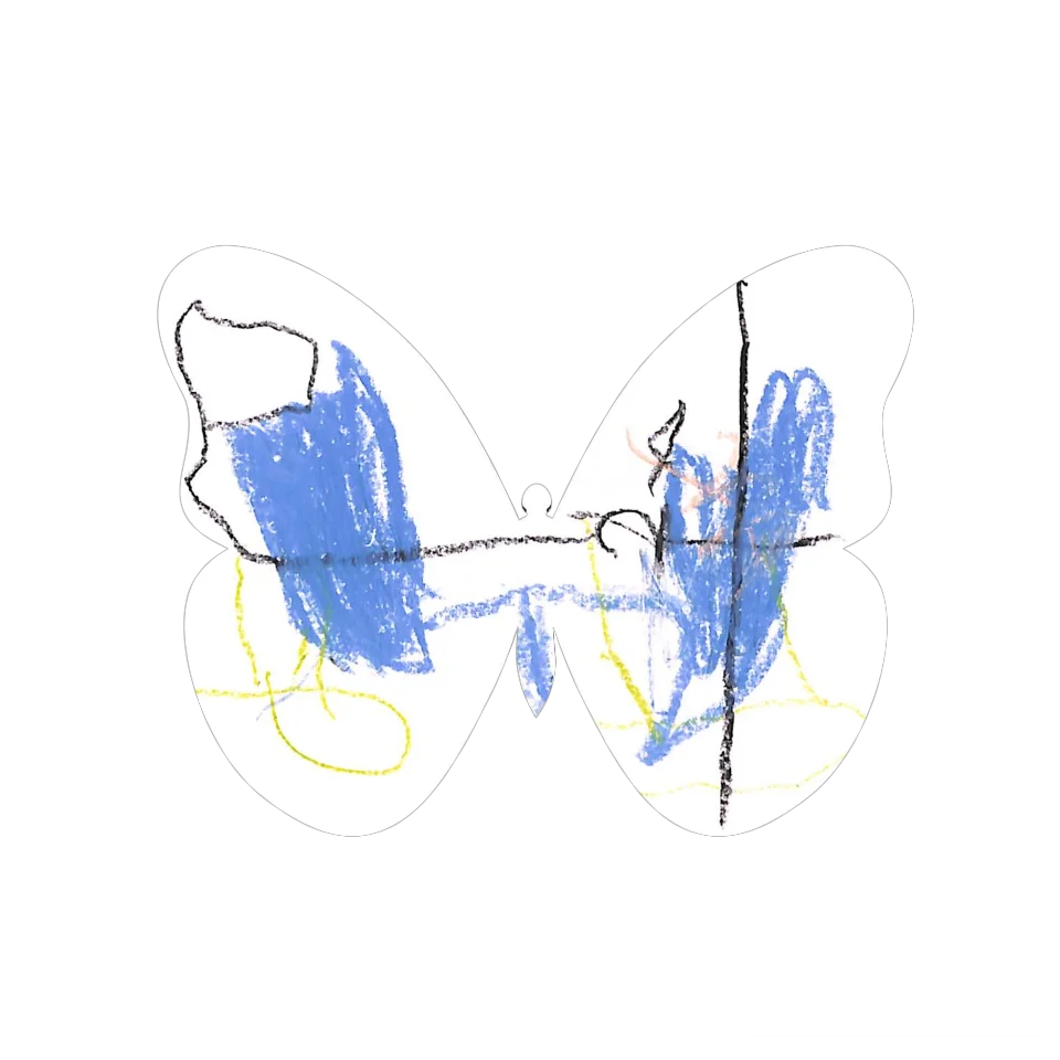 Original Butterfly Image