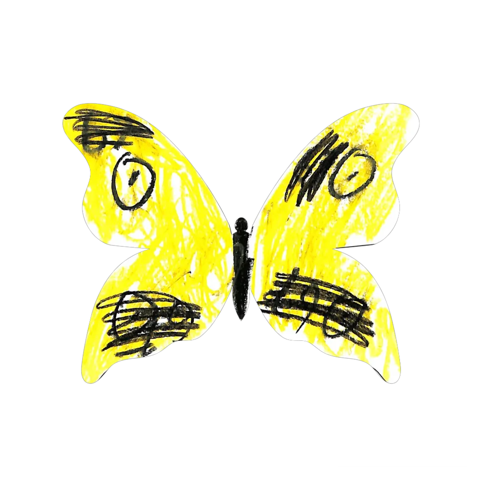 Original Butterfly Image