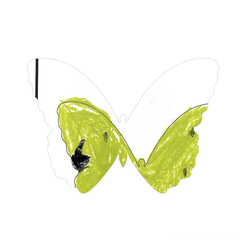 Original Butterfly Image