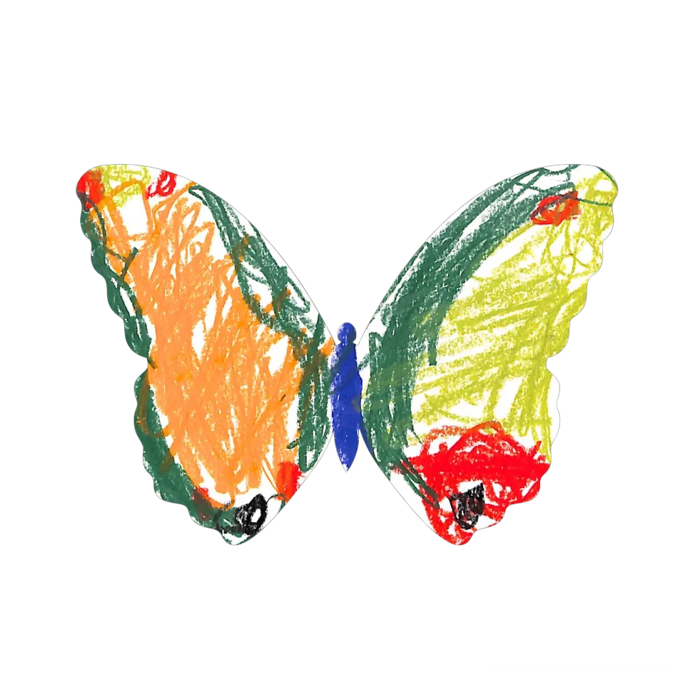 Original Butterfly Image
