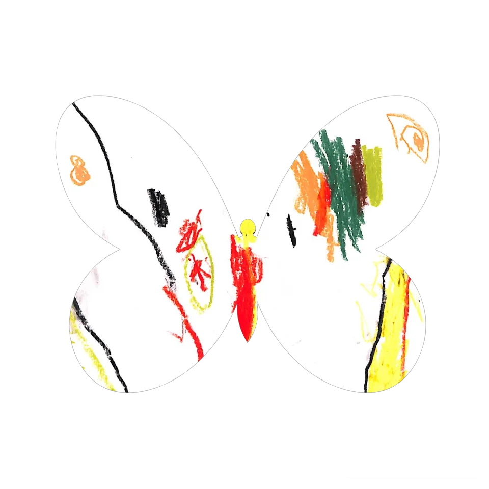 Original Butterfly Image