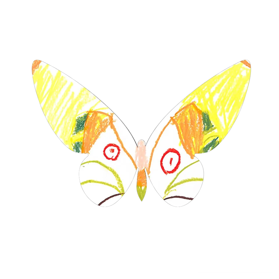 Original Butterfly Image