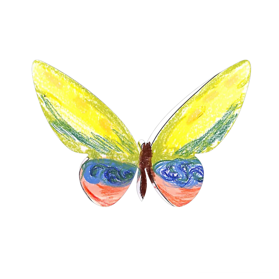 Original Butterfly Image