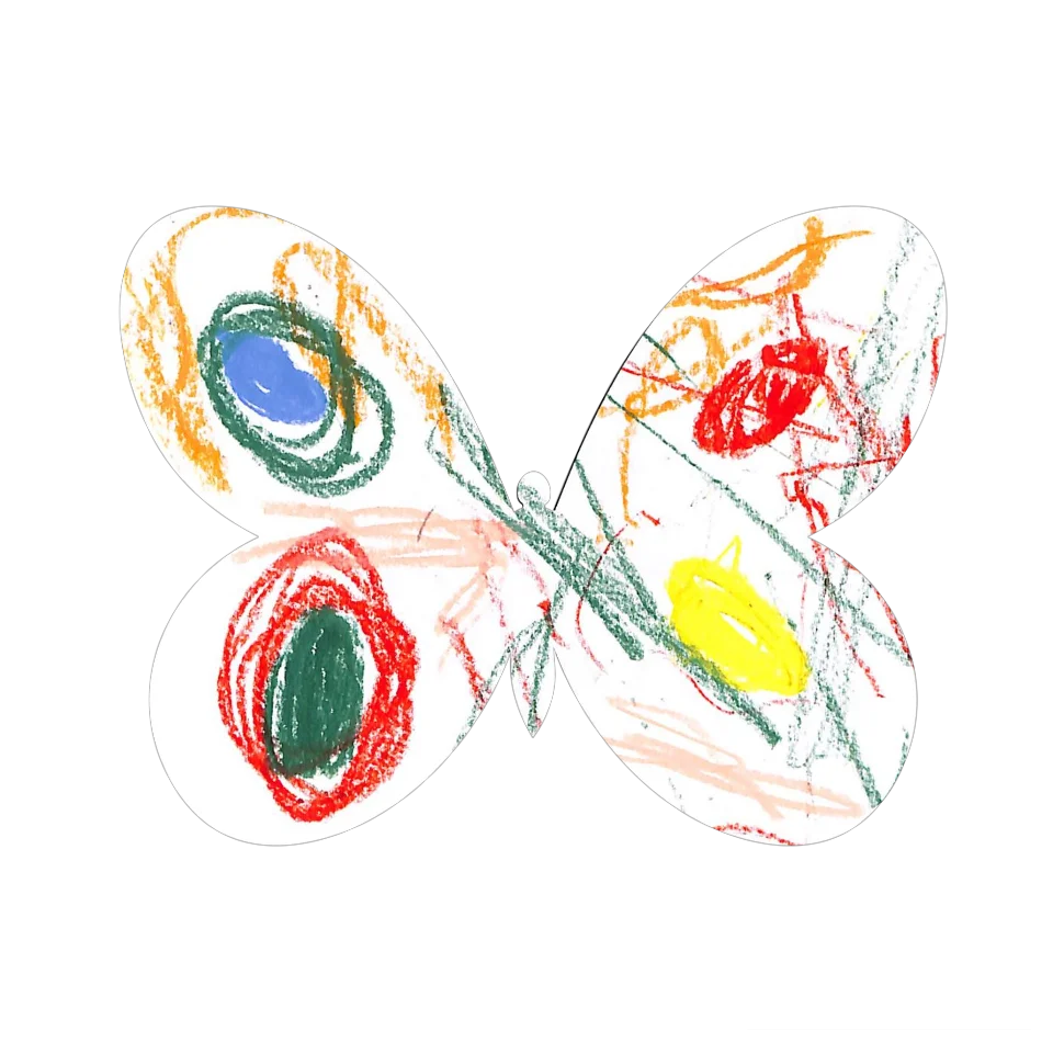 Original Butterfly Image