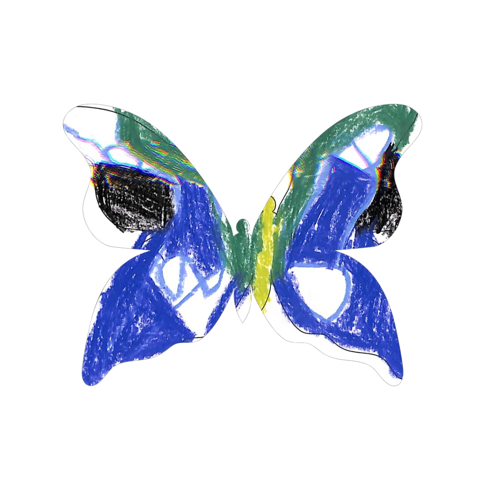 Original Butterfly Image