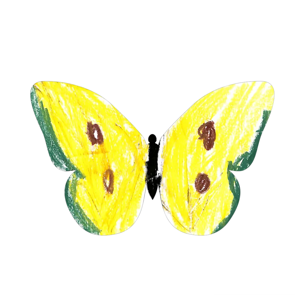 Original Butterfly Image
