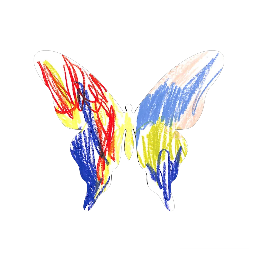 Original Butterfly Image