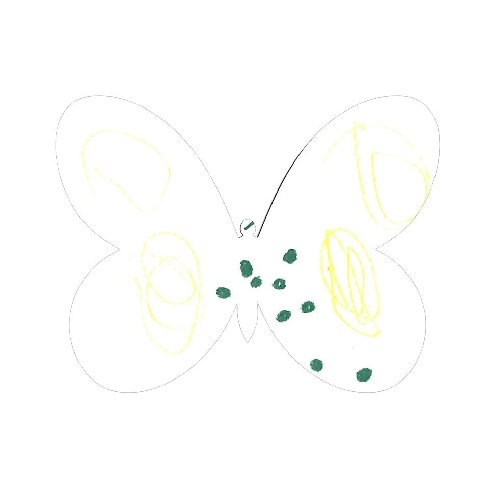 Original Butterfly Image